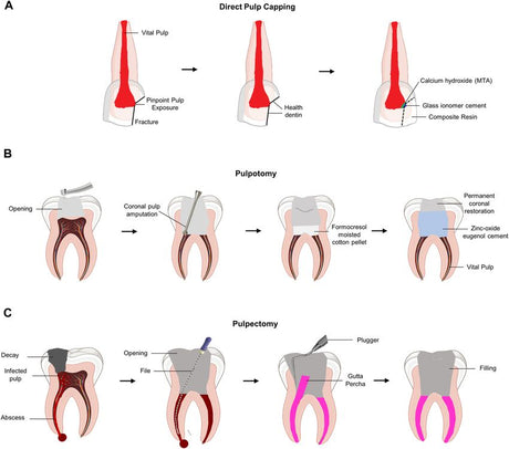 Contemporary management of Primary Teeth: Balancing Minimal Intervention and Biological Respect