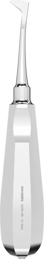 ASA Root elevator # 4R Seldin Right