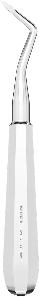 ASA Root Elevator Heidbrink