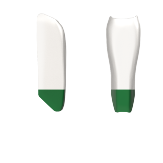 BTLI-Green-324×324