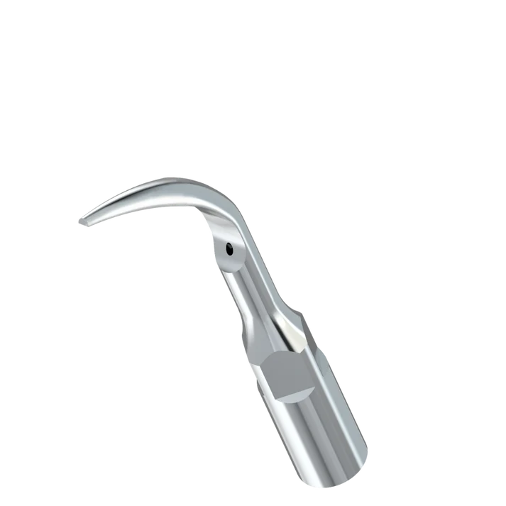 Woodpecker Scaling Tip (G1)