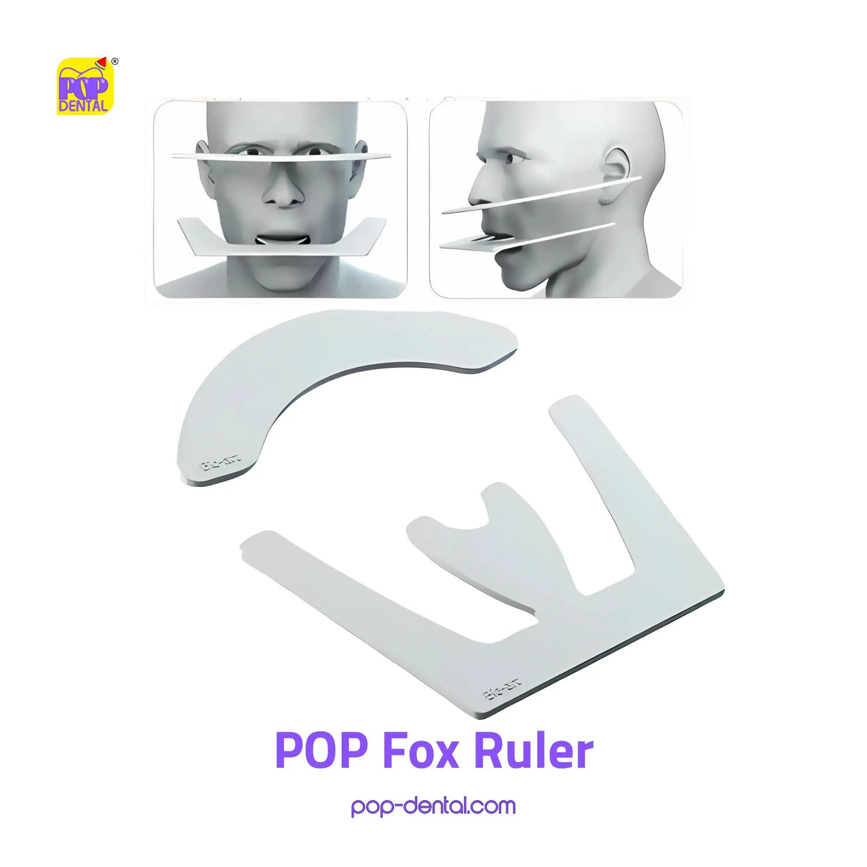 Pop Fox Ruler