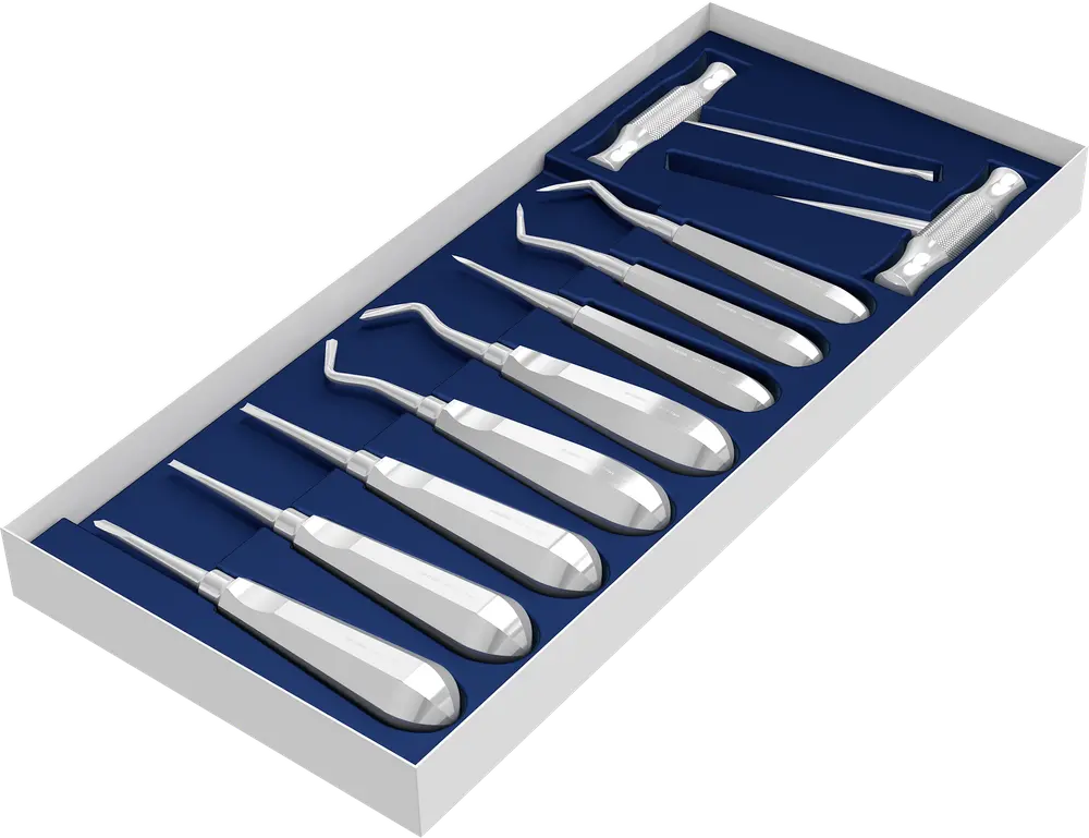 ASA Set of 10 root elevators