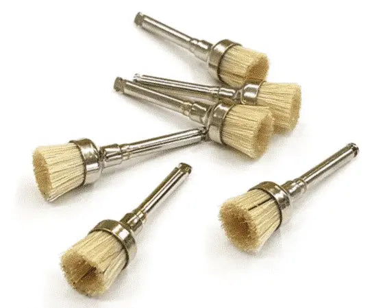 Bristle prophy Brush Box