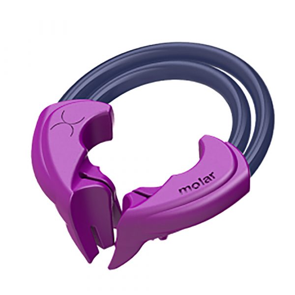 twin-molar-2