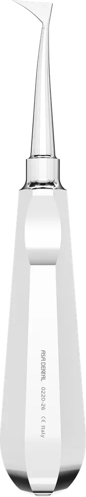 ASA Root elevator Cryer