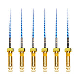 Profa T Blue endo rotary file Taper 4% 25 mm