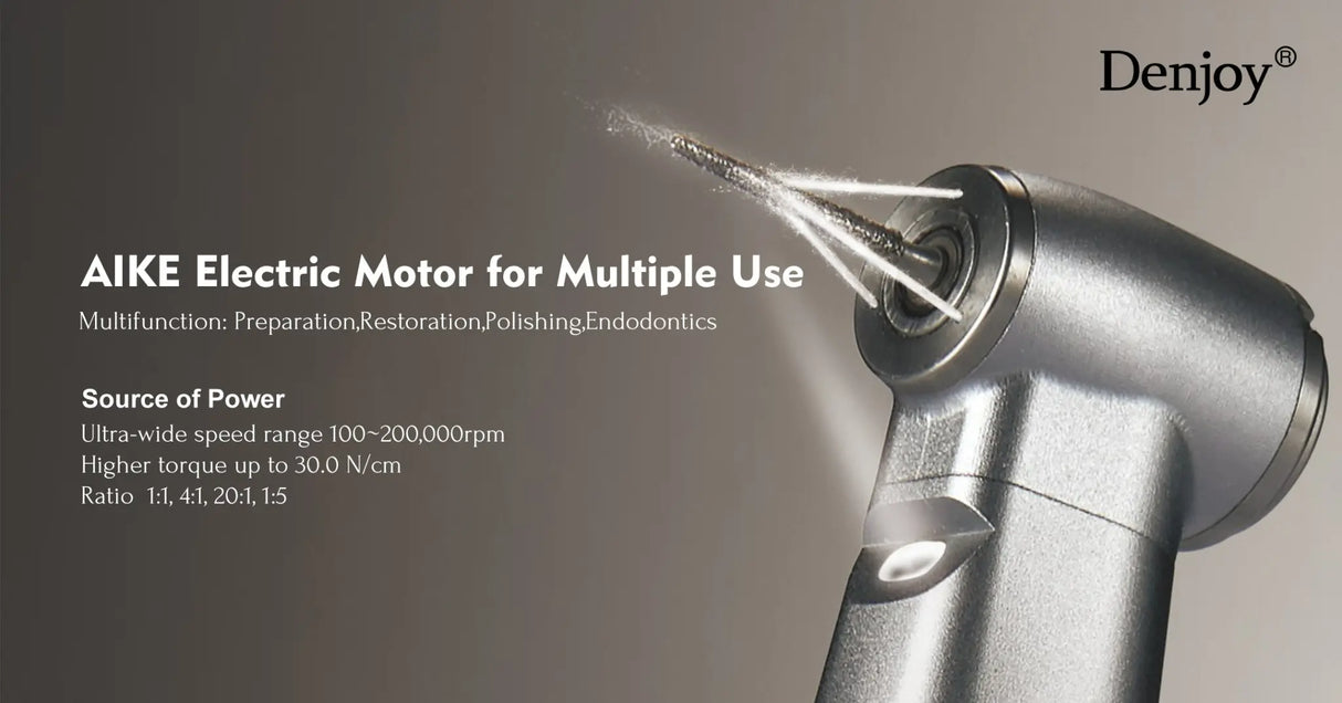 Denjoy AIKE electric motor