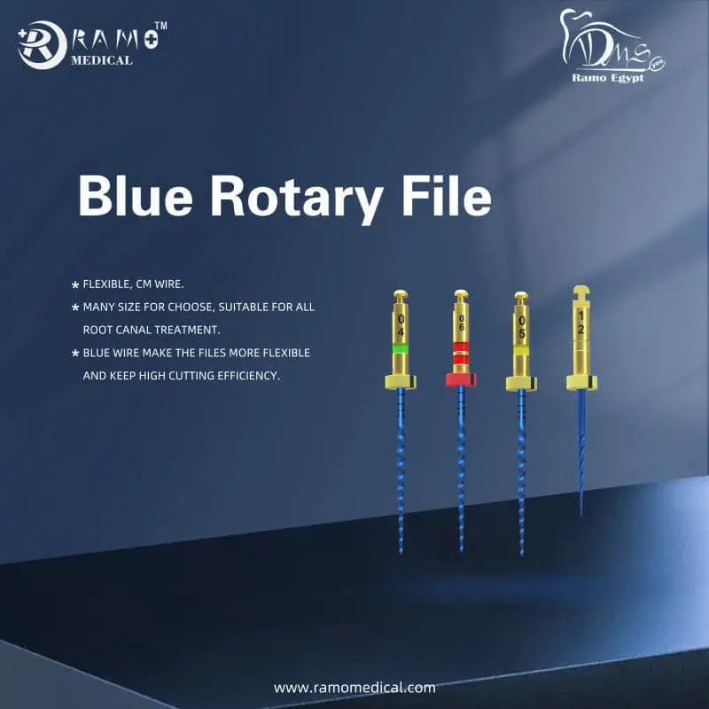 Ramo Rotary Files Blue