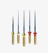 D- Perfect MG3 blue Rotary files Assorted