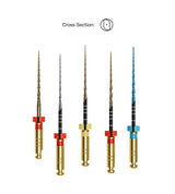 D- Perfect Re Treaty Rotary files Assorted