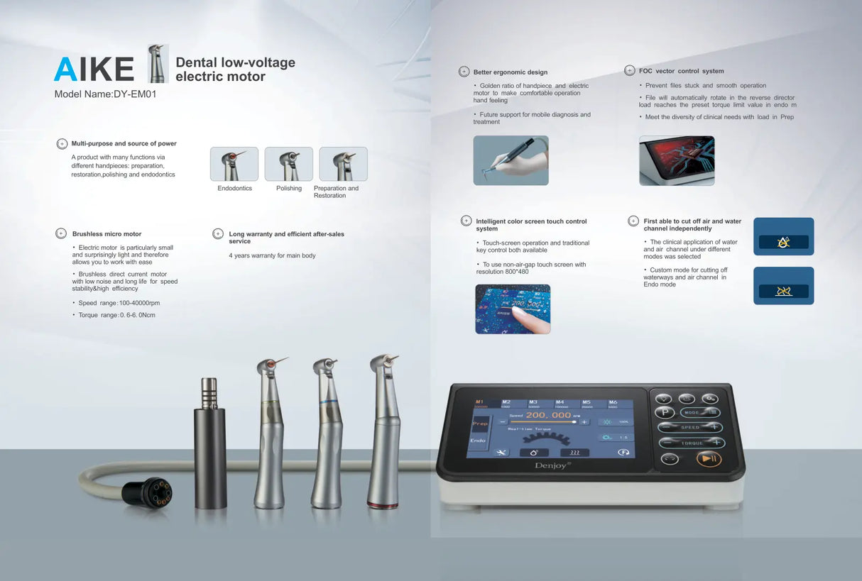 Denjoy AIKE electric motor