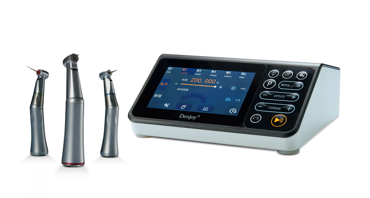 Denjoy AIKE electric motor