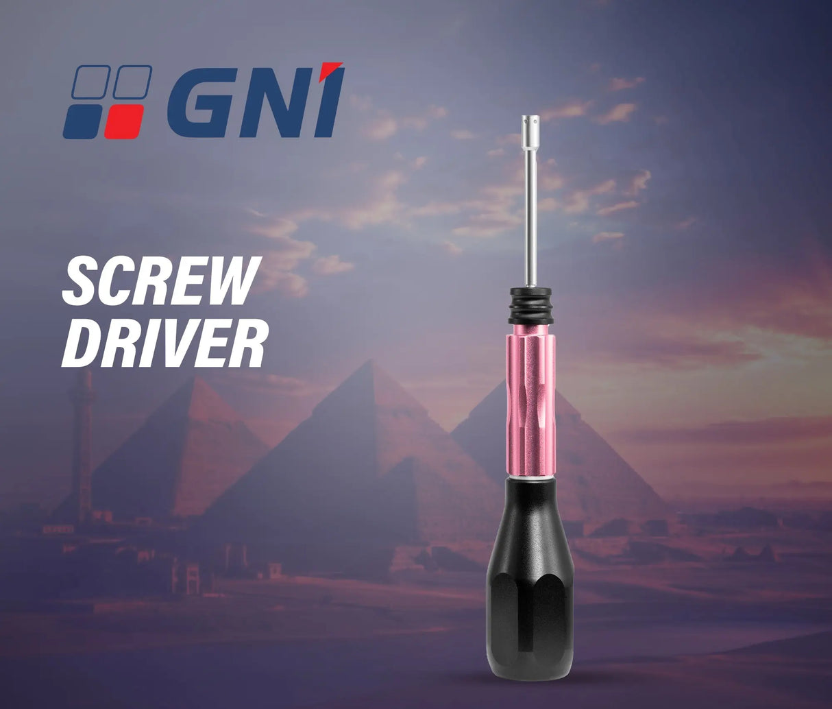 GNI Screw Driver