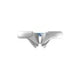Molar_Front.153-416×416-1-150×150