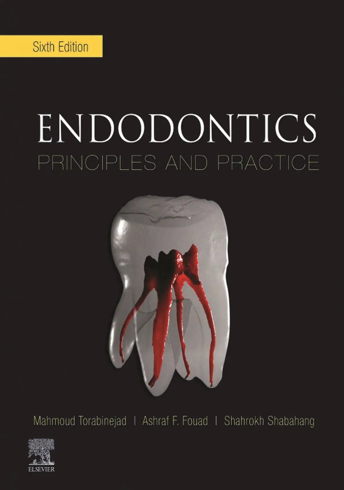Endodontics Principles and Practice 2021