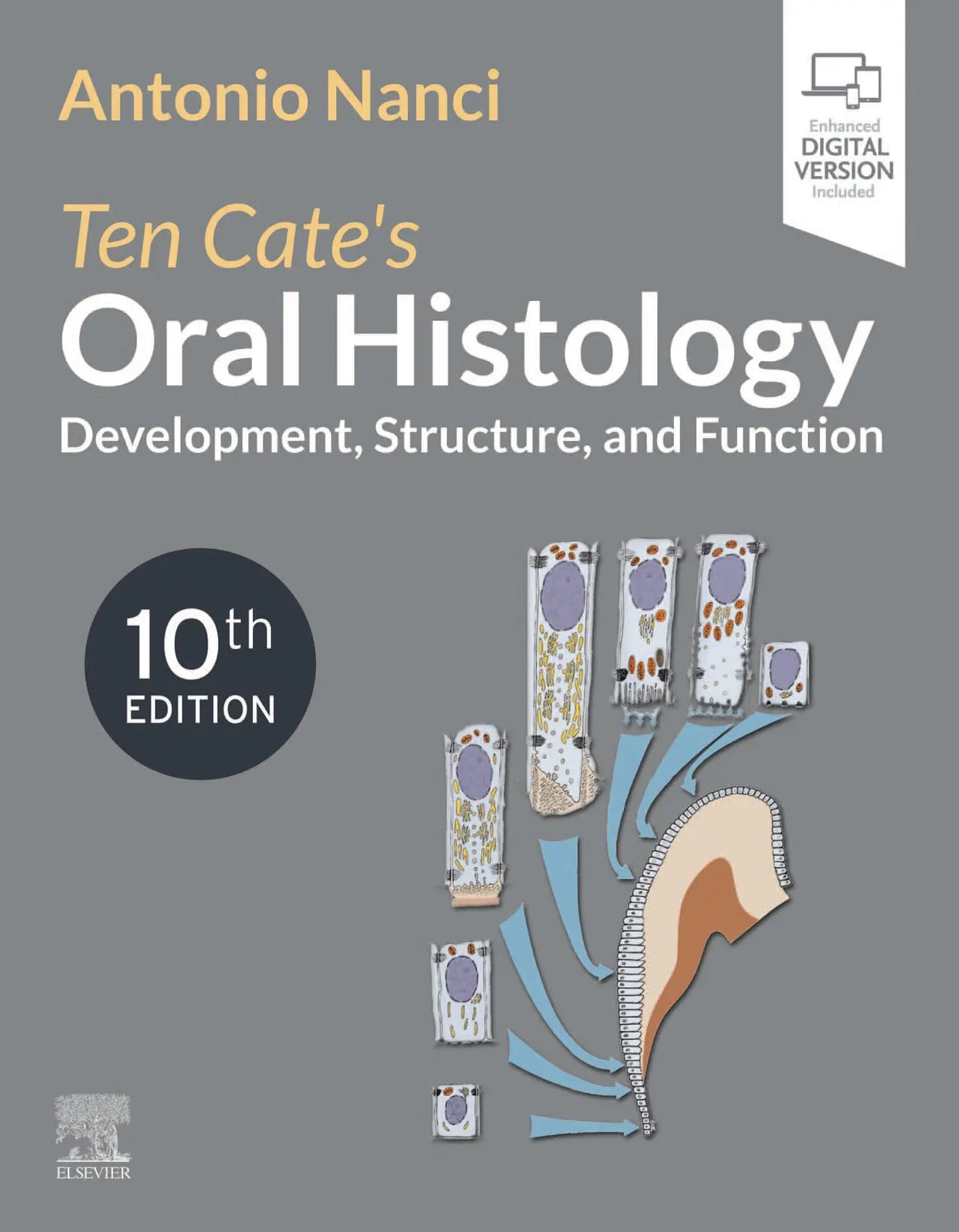 Ten Cate's Oral Histology Development, Structure, and Function 2025