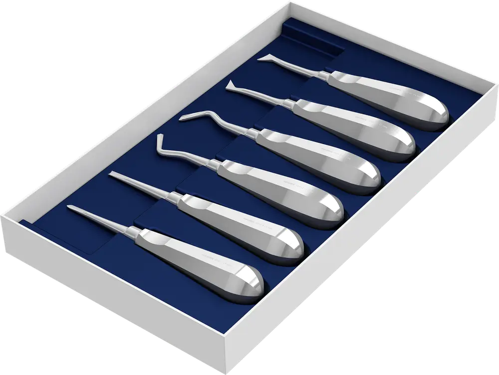 ASA  Set Of Extraction elevators 6 Pcs