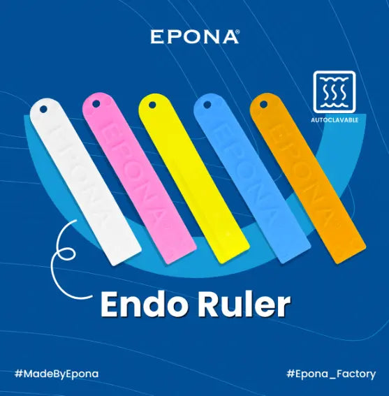 Epona Endo Ruler 1 piece