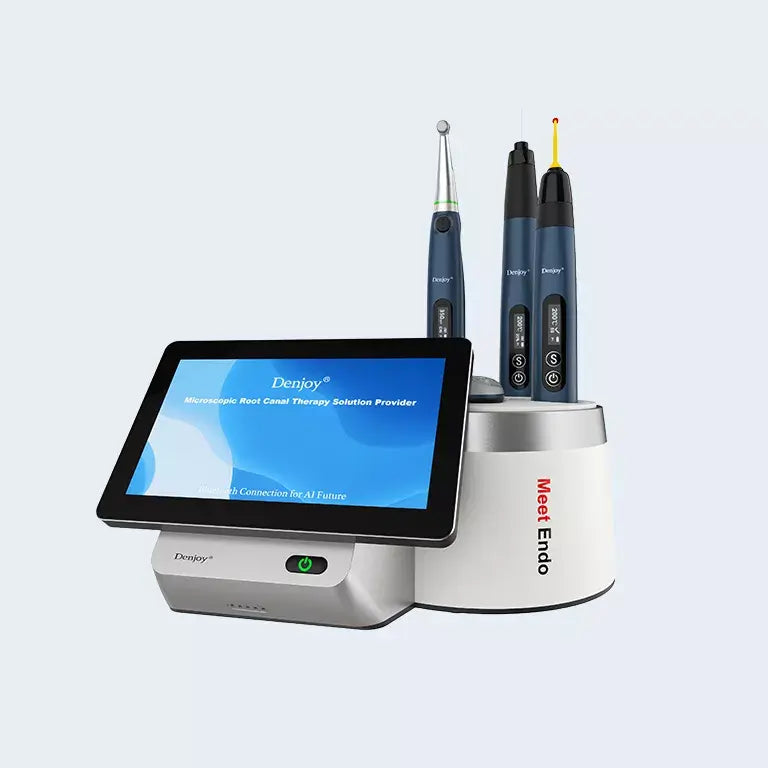 Denjoy Meet Endo 5 in one integrated system