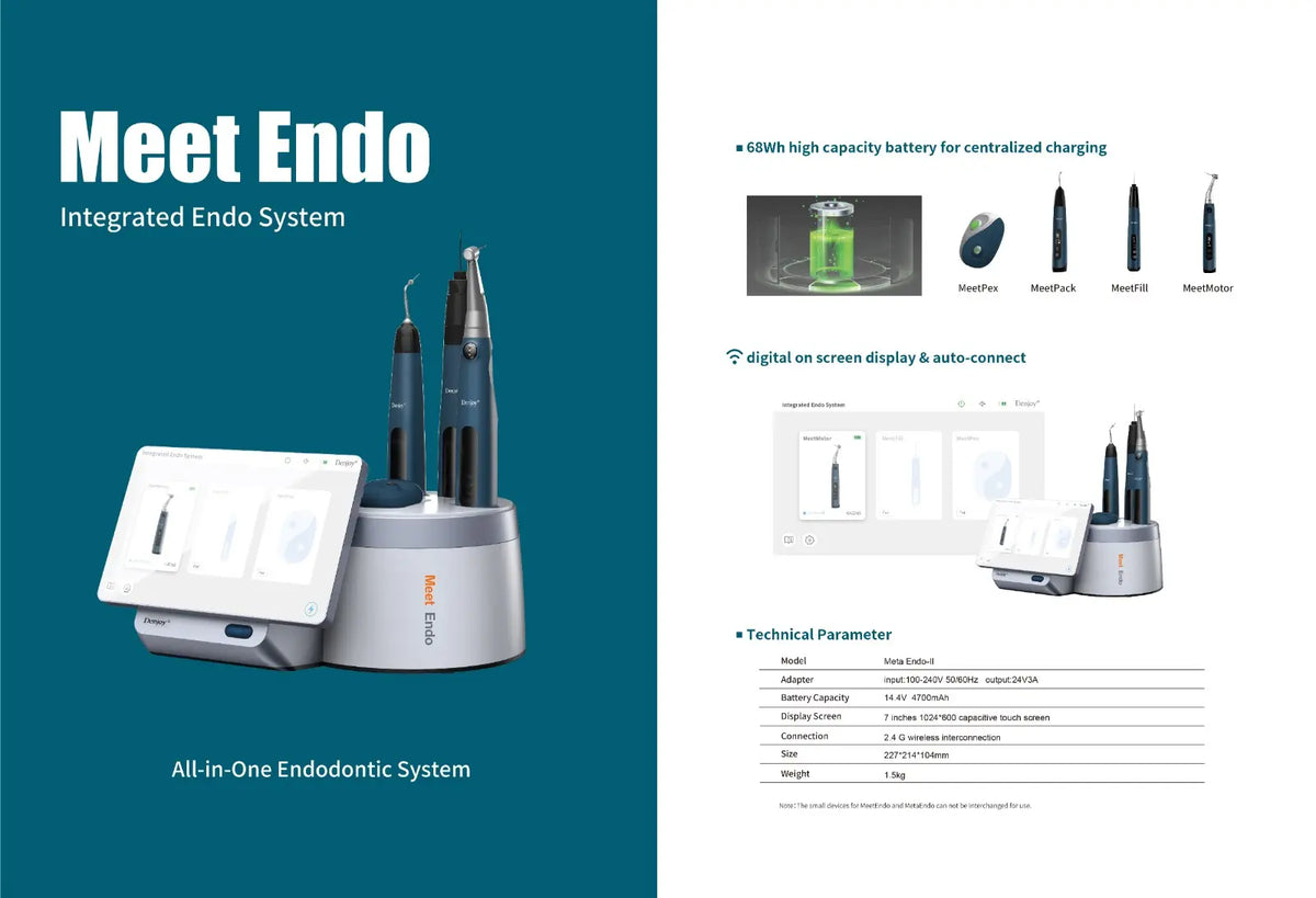 Denjoy Meet Endo 5 in one integrated system