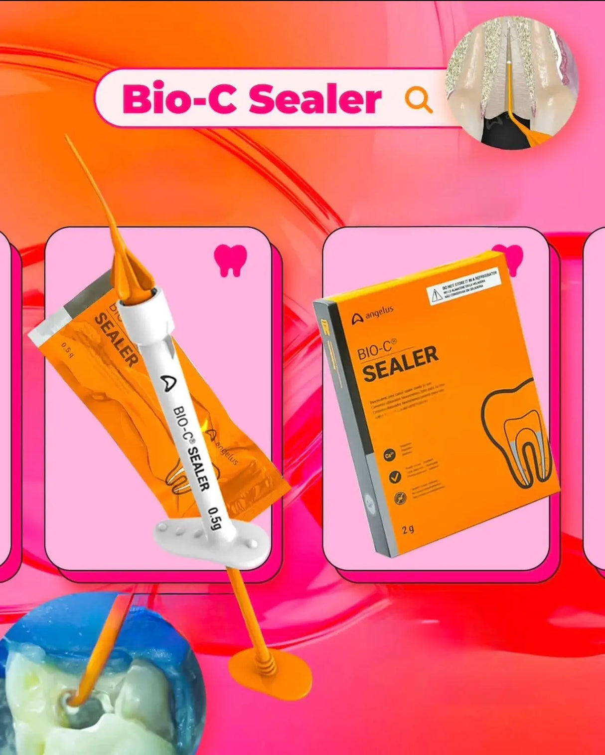 Angelus Bio C Sealer 0.5g