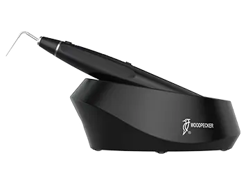 DBA Woodpecker Fi-P cordless gutta percha obturation pen