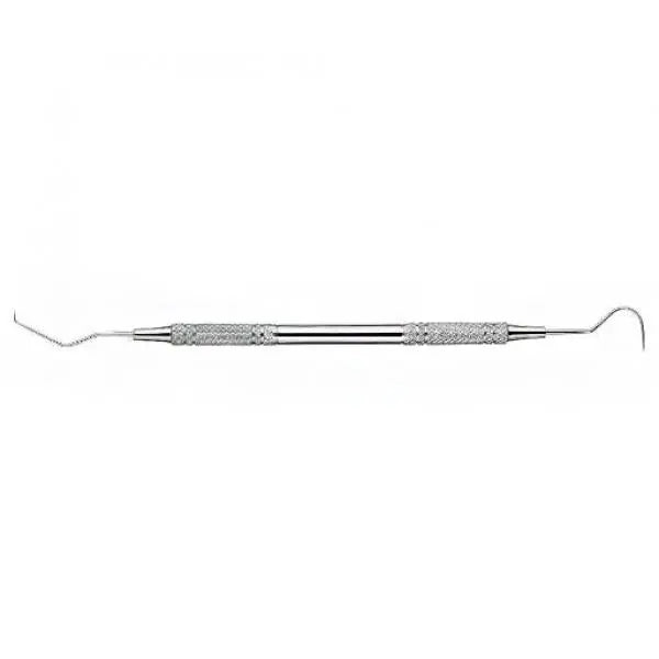 Pakistan explorer probe