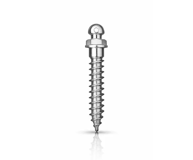 Matt Ortho Implant Mini Screw Mushroom Button Head  titanium grade 5